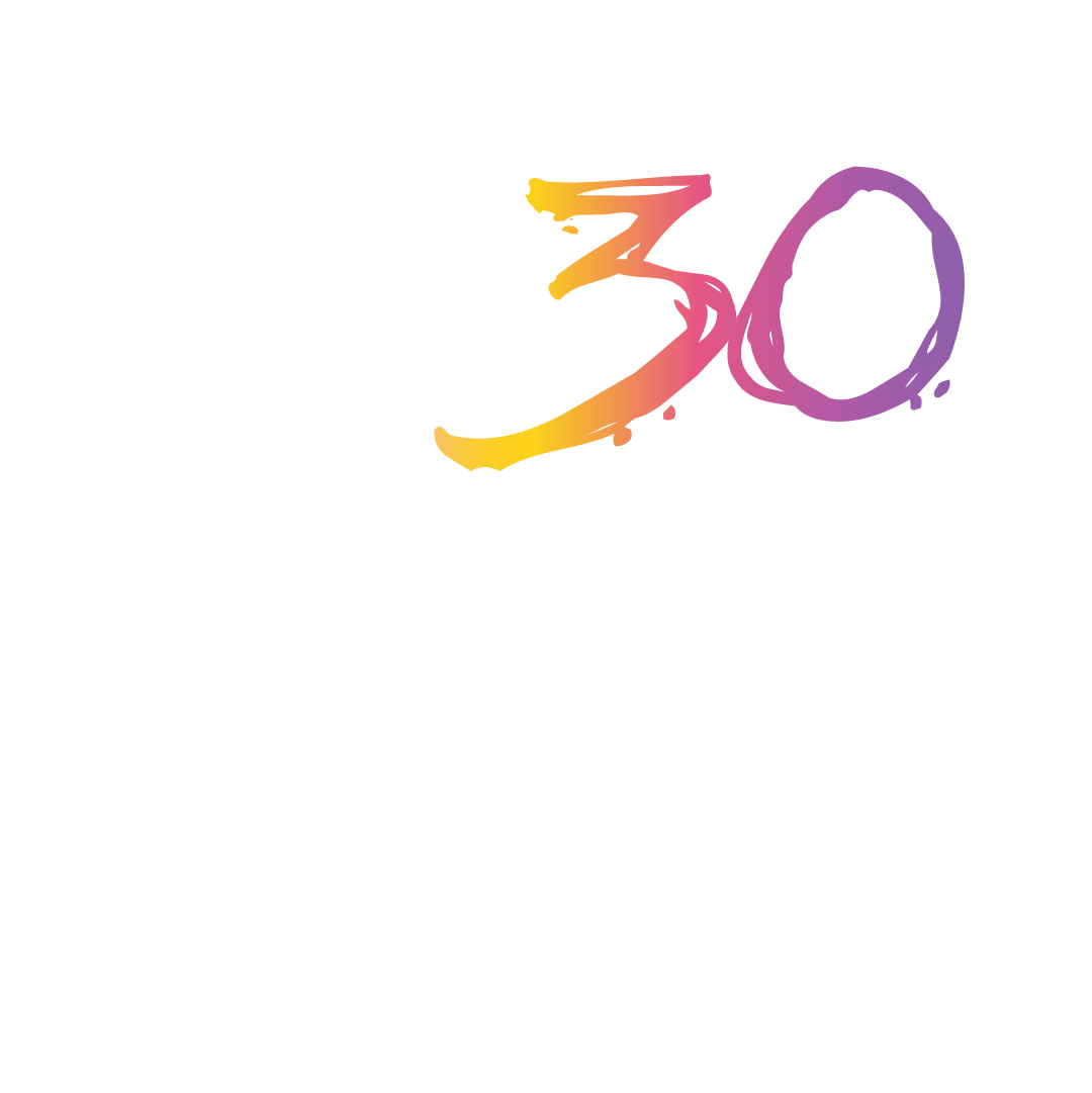 NT30 KONF Logo